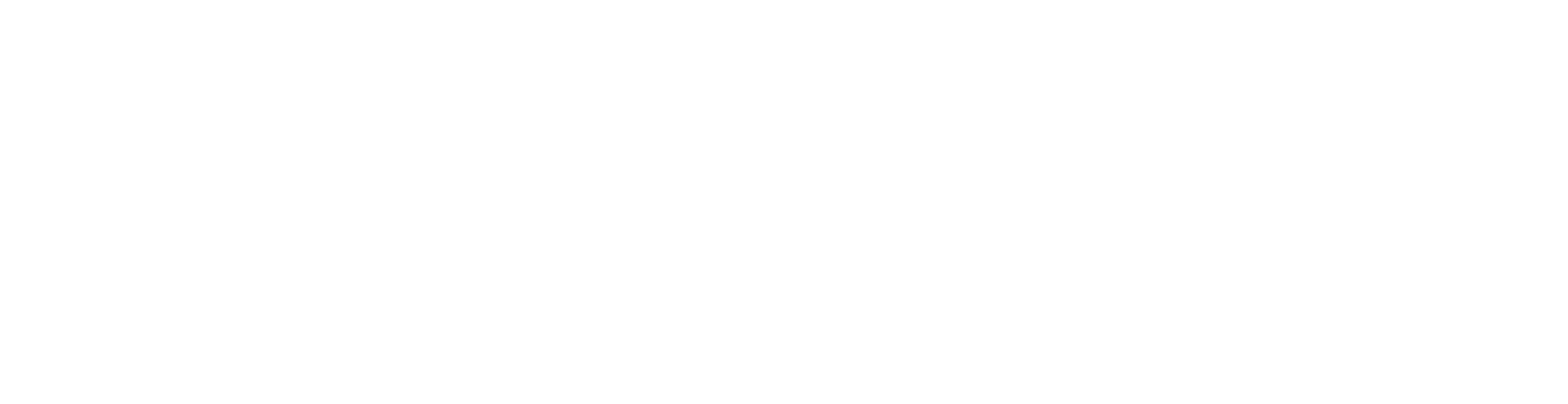 goodysac Logo